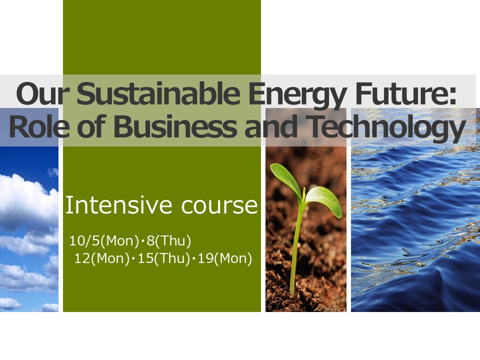 Our Sustainable Energy Future: Role of Business and Technology